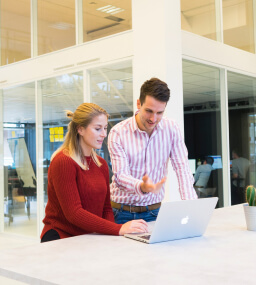 scandifix people work on a project